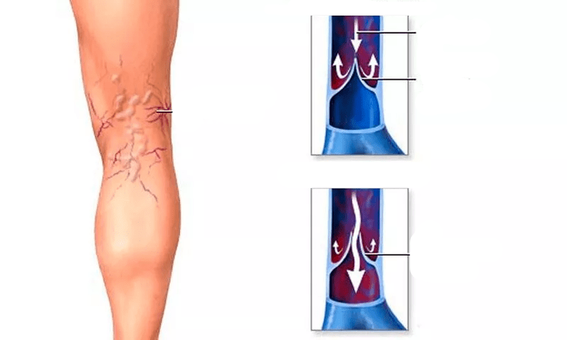 Движение на кръвта